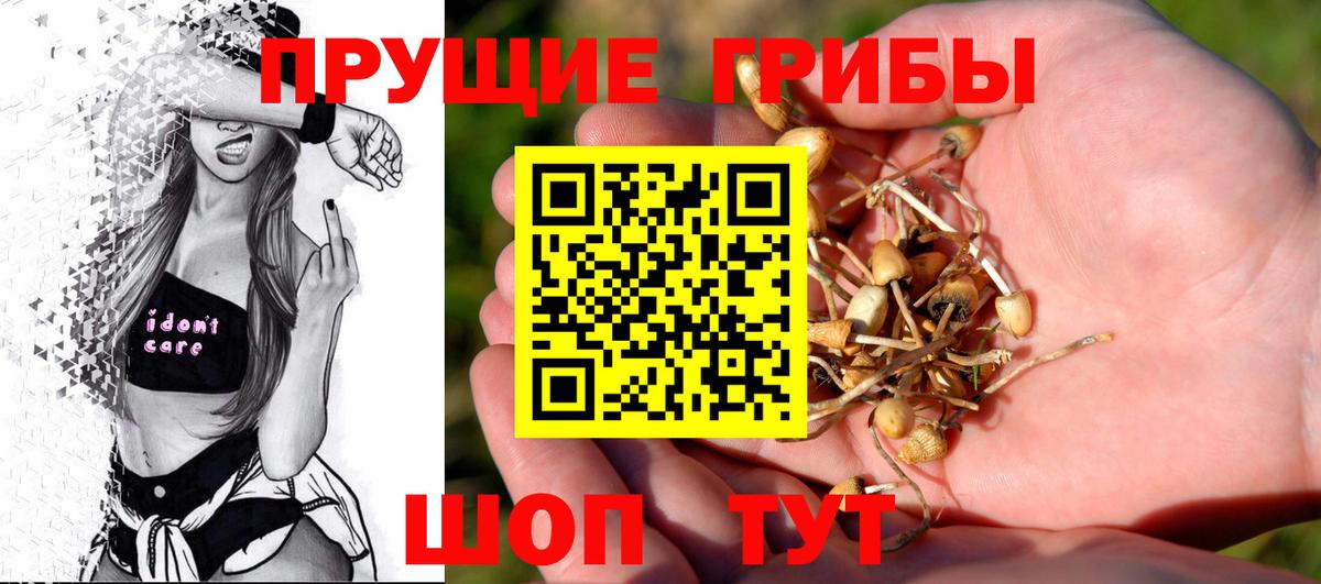 Галлюциногенные грибы мицелий Вязники